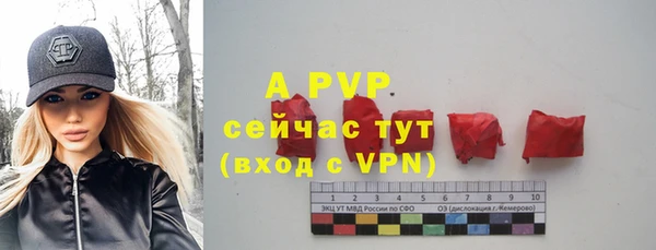 стафф Абаза
