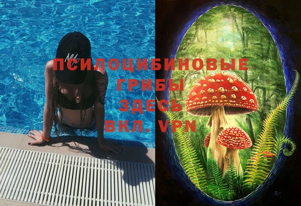 стафф Абаза