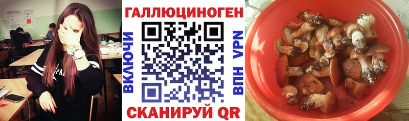 продажа наркотиков  Никольск  Псилоцибиновые грибы Psilocybine cubensis 